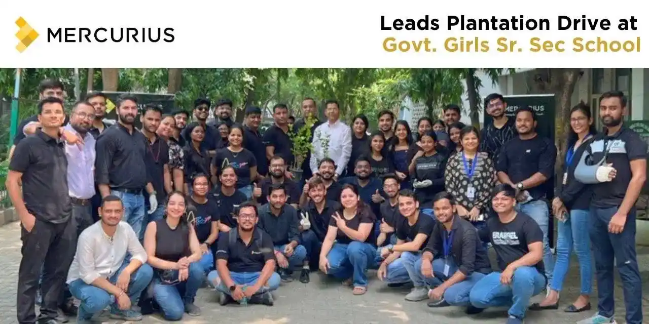 tree plantation drive