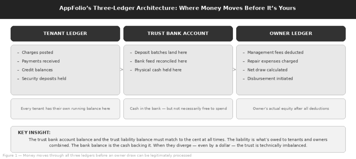 AppFolio's three-ledger architecture: the tenant ledger holds charges, payments, credit balances and security deposits; the trust bank account holds deposit batches, the reconciled bank feed and physical cash; the owner ledger deducts management fees and repair expenses, calculates the net draw and initiates the disbursement